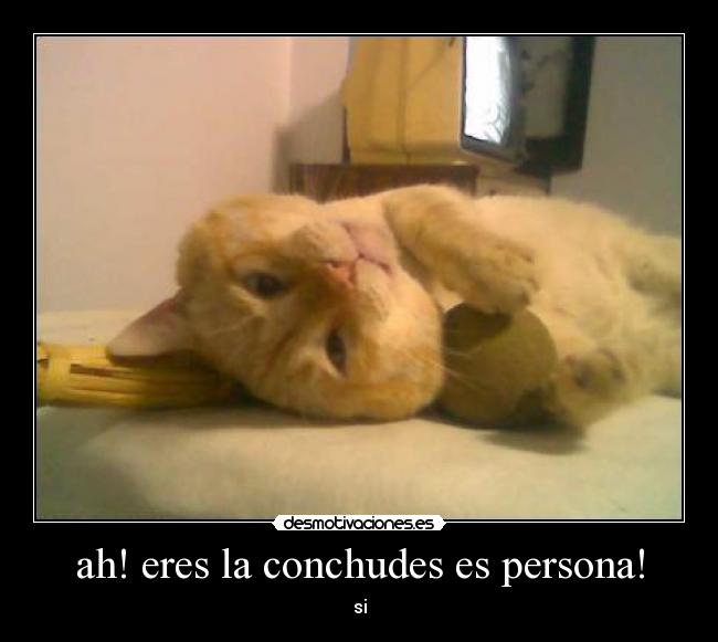 ah! eres la conchudes es persona! - si