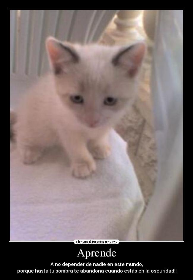 Aprende - A no depender de nadie en este mundo,
porque hasta tu sombra te abandona cuando estás en la oscuridad!!