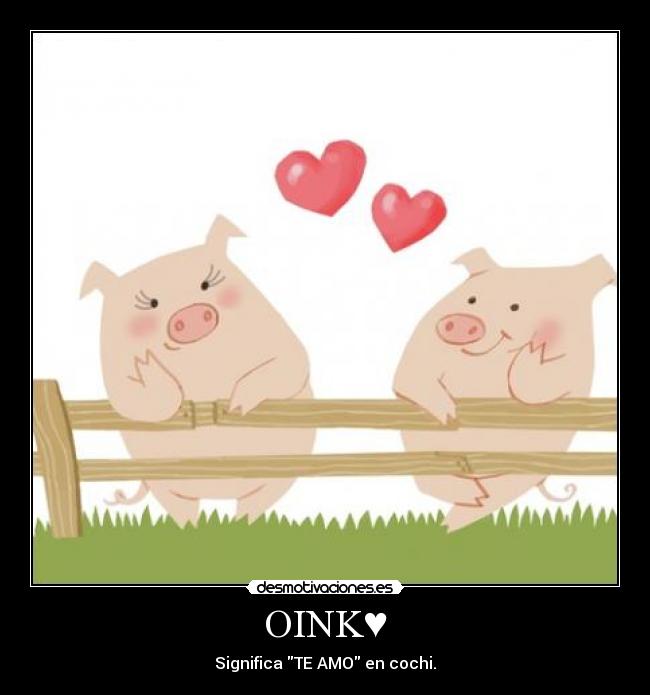 OINK♥ -