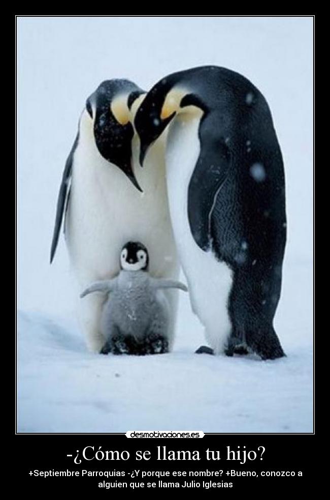 carteles 34653563 desmotivaciones