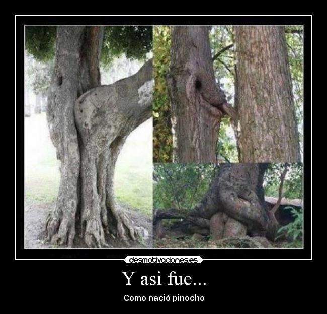 Y asi fue... - Como nació pinocho
