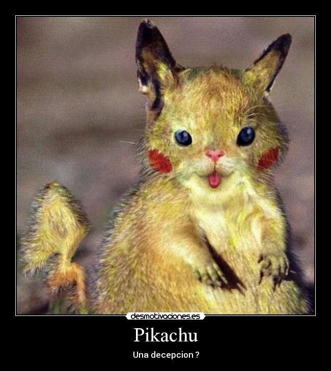Pikachu - Una decepcion ?