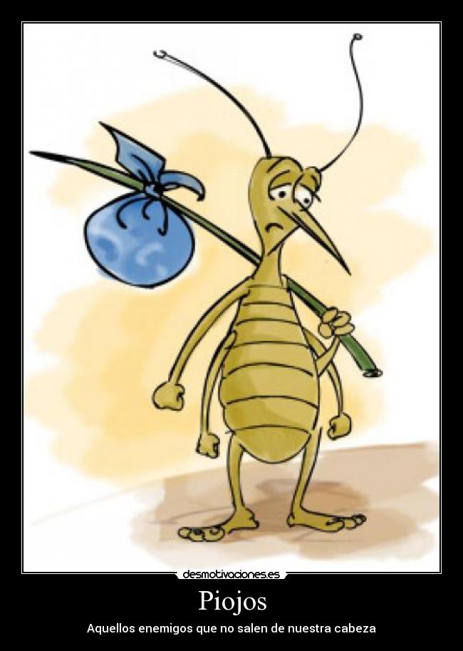 carteles molestia desmotivaciones