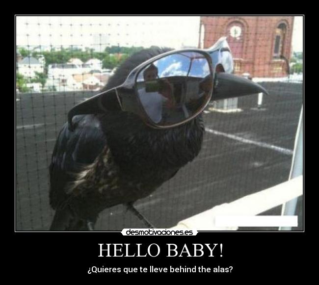 HELLO BABY! -