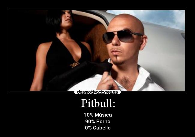 Pitbull: - 10% Música
90% Porno
0% Cabello