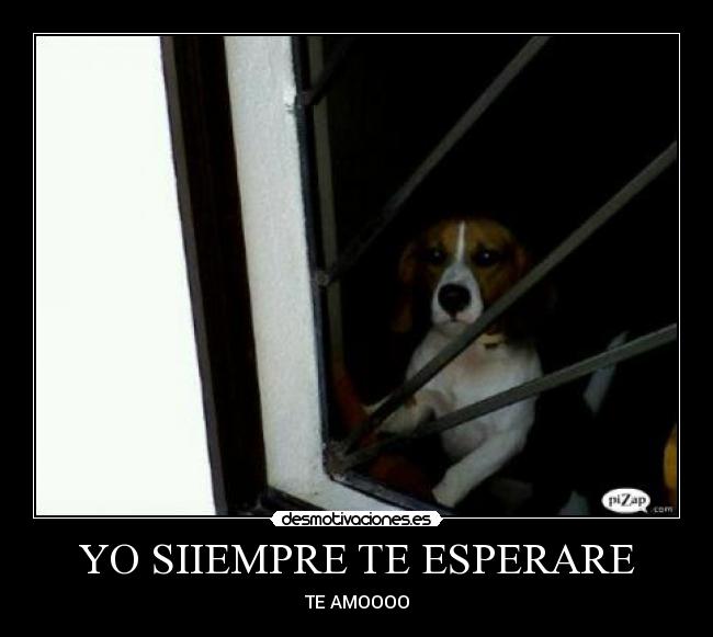 YO SIIEMPRE TE ESPERARE - TE AMOOOO