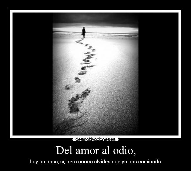 carteles amor odio looree tuyaparasiempre desmotivaciones