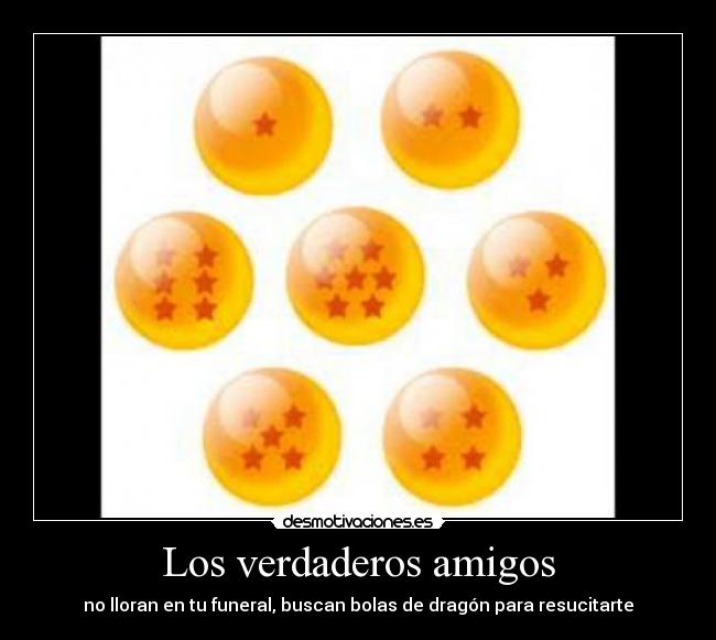 Los verdaderos amigos - 