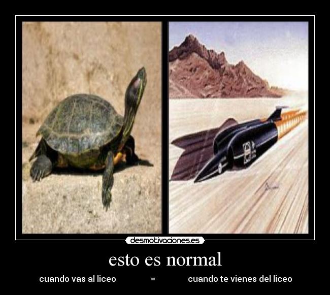 esto es normal - cuando vas al liceo = cuando te vienes del liceo