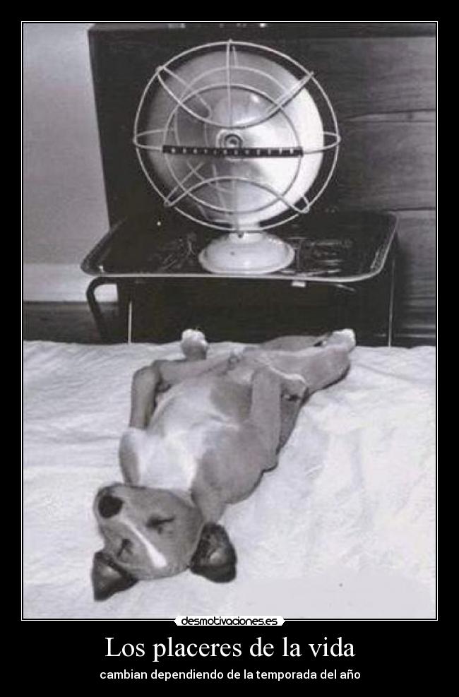 Los placeres de la vida -
