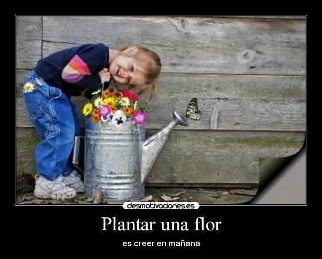 Plantar una flor - 