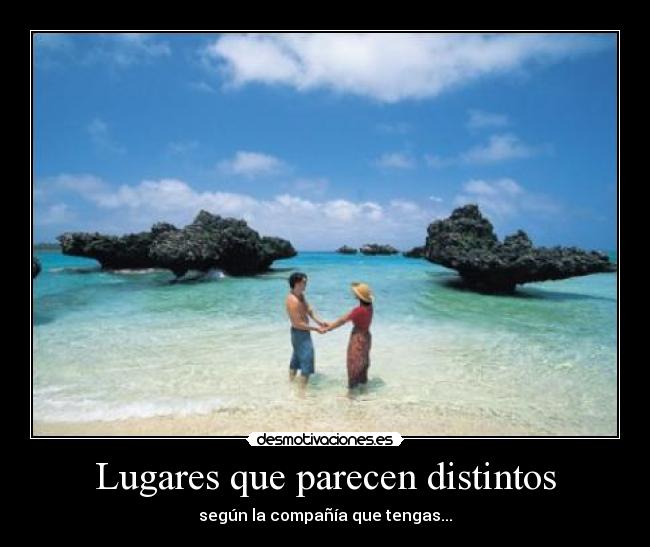 carteles compania perfectos desmotivaciones