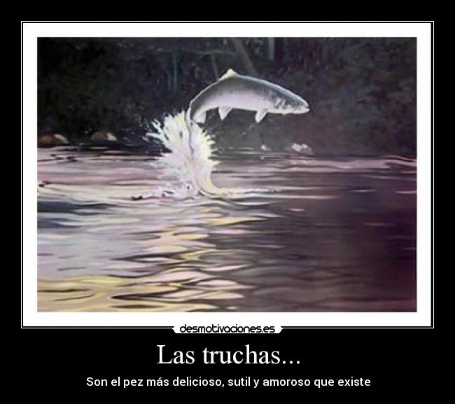 Las truchas... -