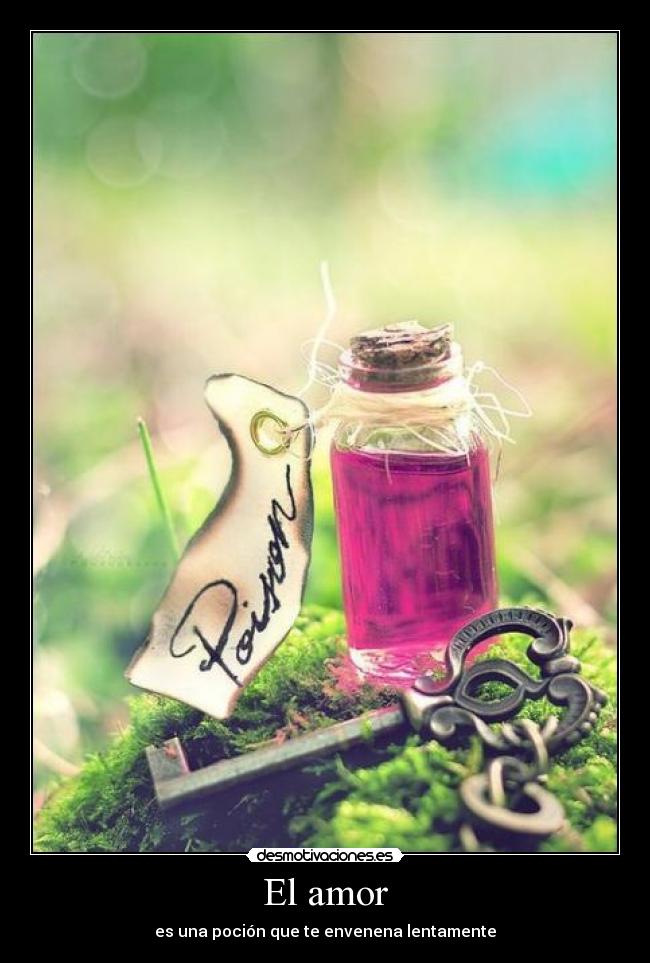 El amor - es una poción que te envenena lentamente