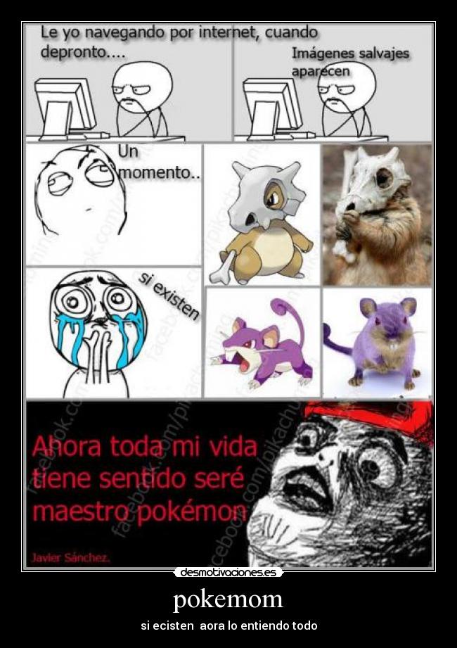 pokemom -