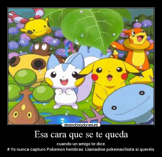 Esa cara que se te queda - cuando un amigo te dice.
# Yo nunca capturo Pokemon hembras. Llamadme pokemachista si queréis.