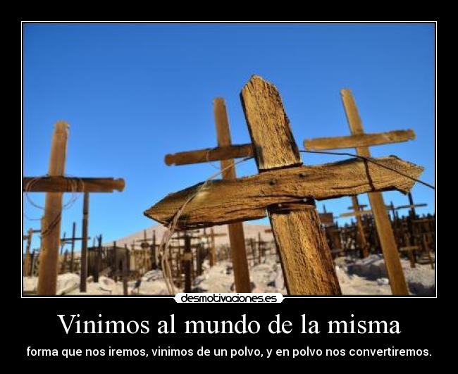 Vinimos al mundo de la misma - 