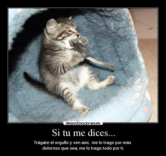 Si tu me dices... -