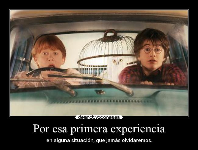 carteles rules puke pornoso esa cuestion nunca olvidare ese finde desmotivaciones