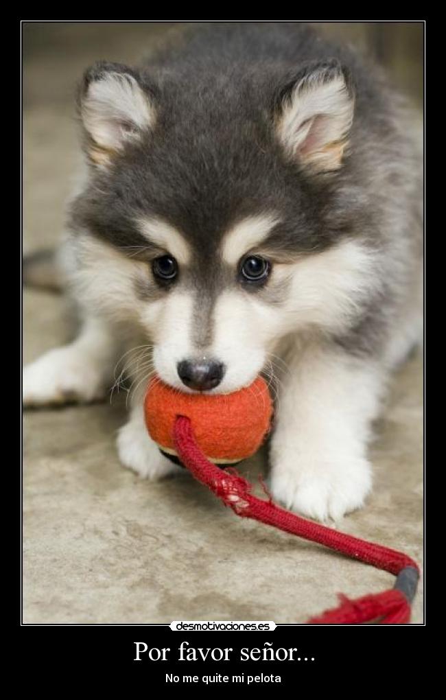 Por favor señor... -