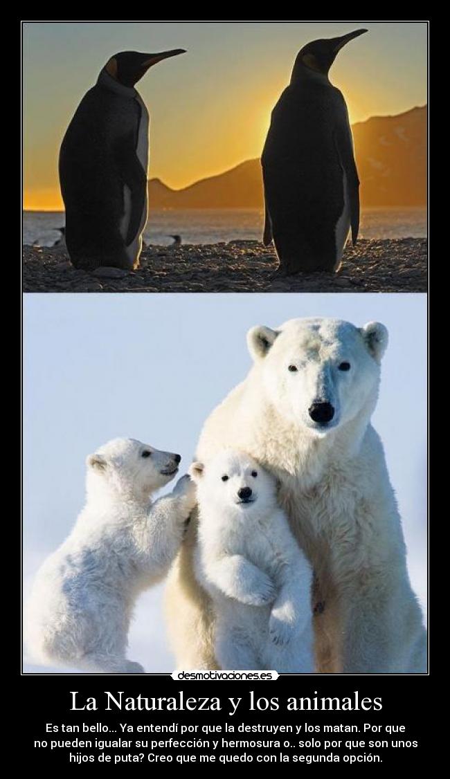 La Naturaleza y los animales - 