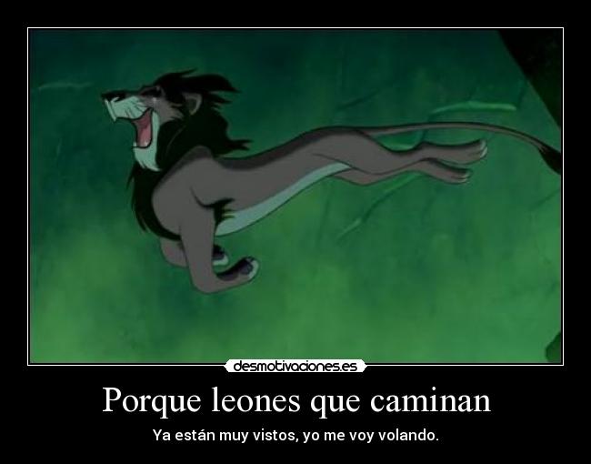 Porque leones que caminan - 