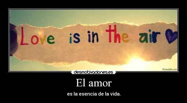 El amor - 