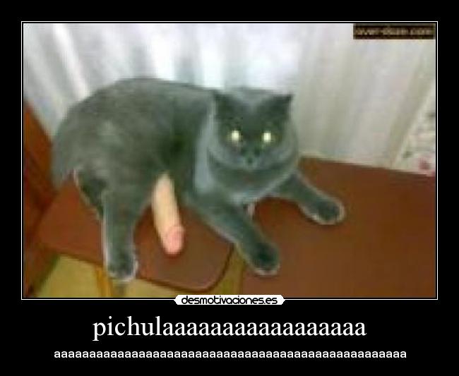pichulaaaaaaaaaaaaaaaaa - aaaaaaaaaaaaaaaaaaaaaaaaaaaaaaaaaaaaaaaaaaaaaaaaaa