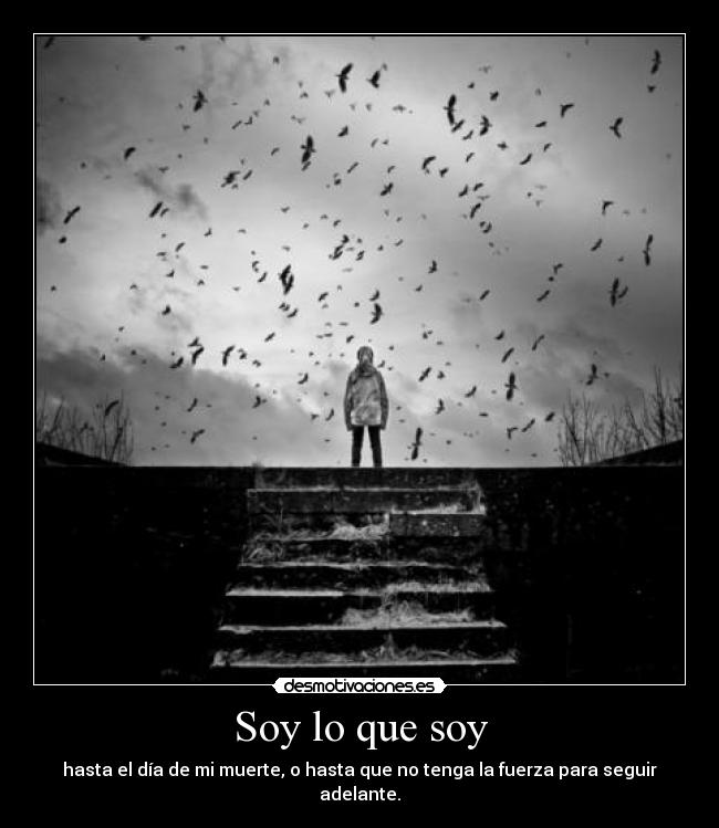 carteles filosofos modernos crazyclub lucia mis suenos the strength desmotivaciones