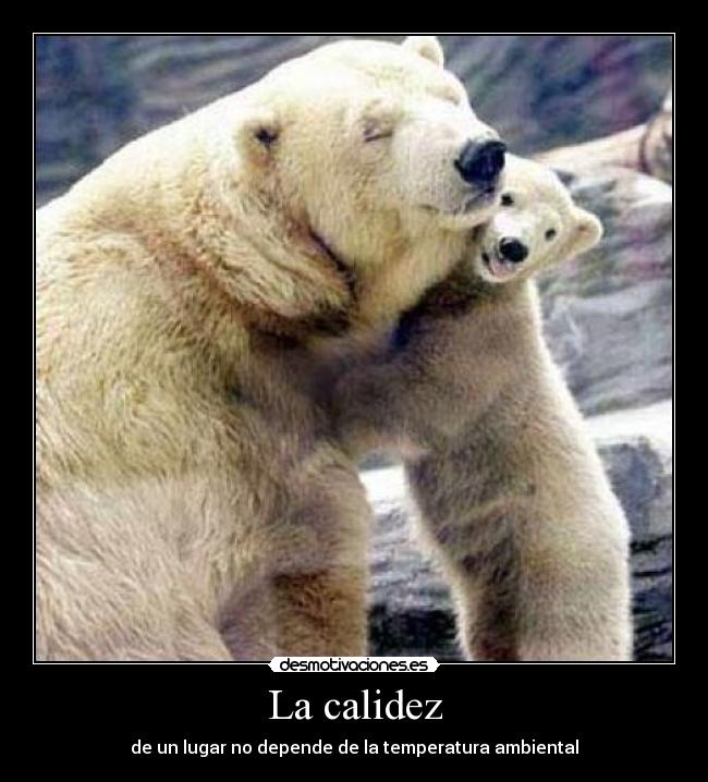 La calidez - 