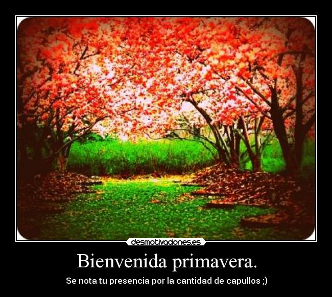 Bienvenida primavera. - Se nota tu presencia por la cantidad de capullos ;)