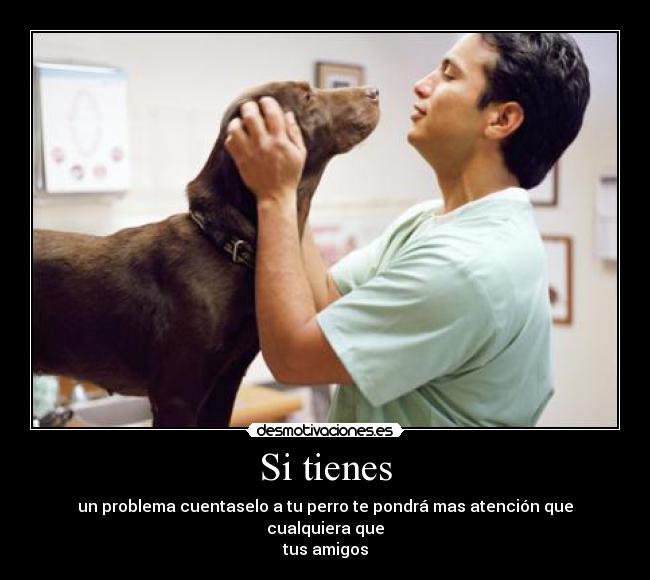 Si tienes - un problema cuentaselo a tu perro te pondrá mas atención que cualquiera que
tus amigos