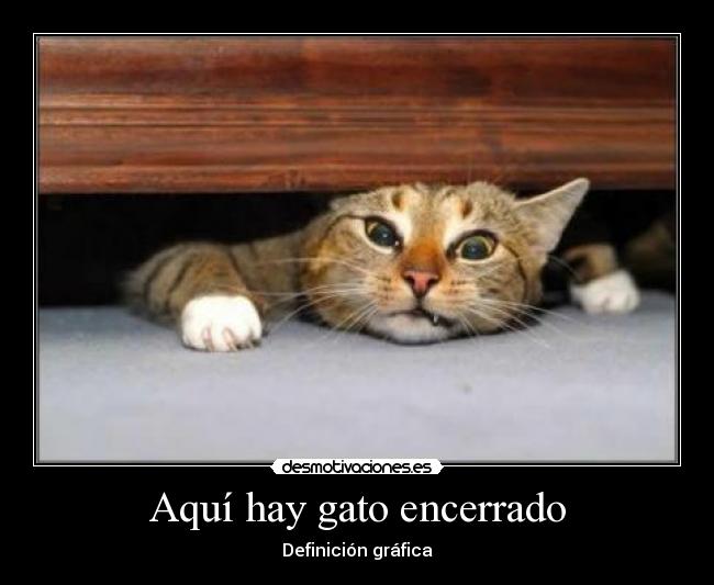 Aquí hay gato encerrado -