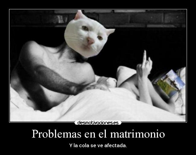 Problemas en el matrimonio - Y la cola se ve afectada.