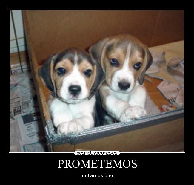 PROMETEMOS - portarnos bien