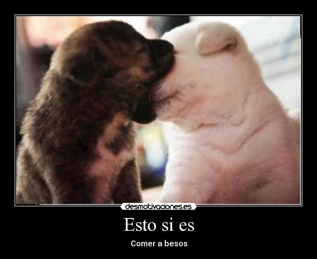 carteles adonissilva desmotivaciones