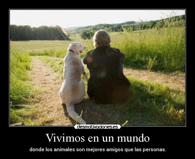 Vivimos en un mundo - donde los animales son mejores amigos que las personas.