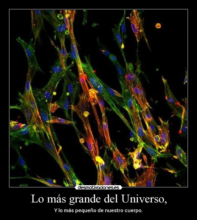 Lo más grande del Universo, - 