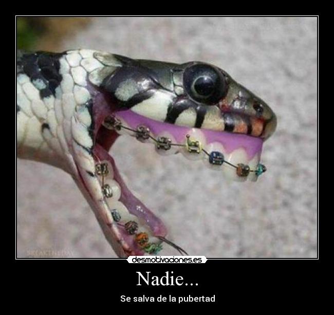 Nadie... -