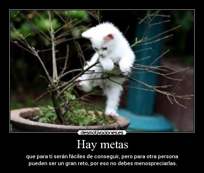Hay metas -