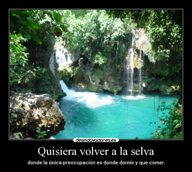 Quisiera volver a la selva - 