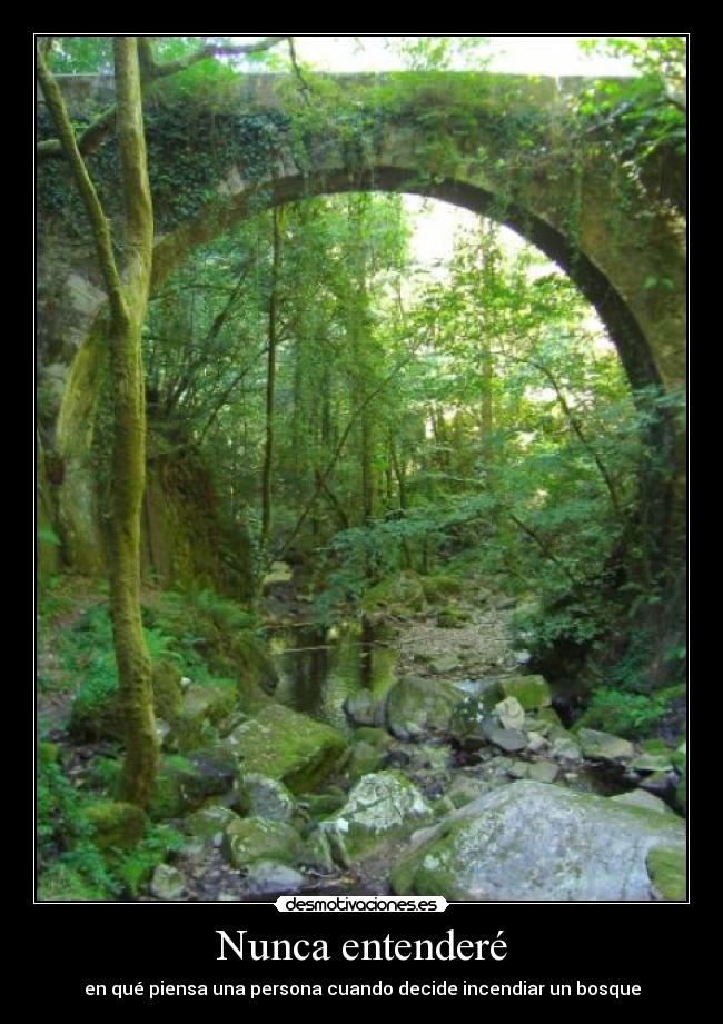 carteles fraga eume tomar polo cu esto empeza parecerse 2006 desmotivaciones