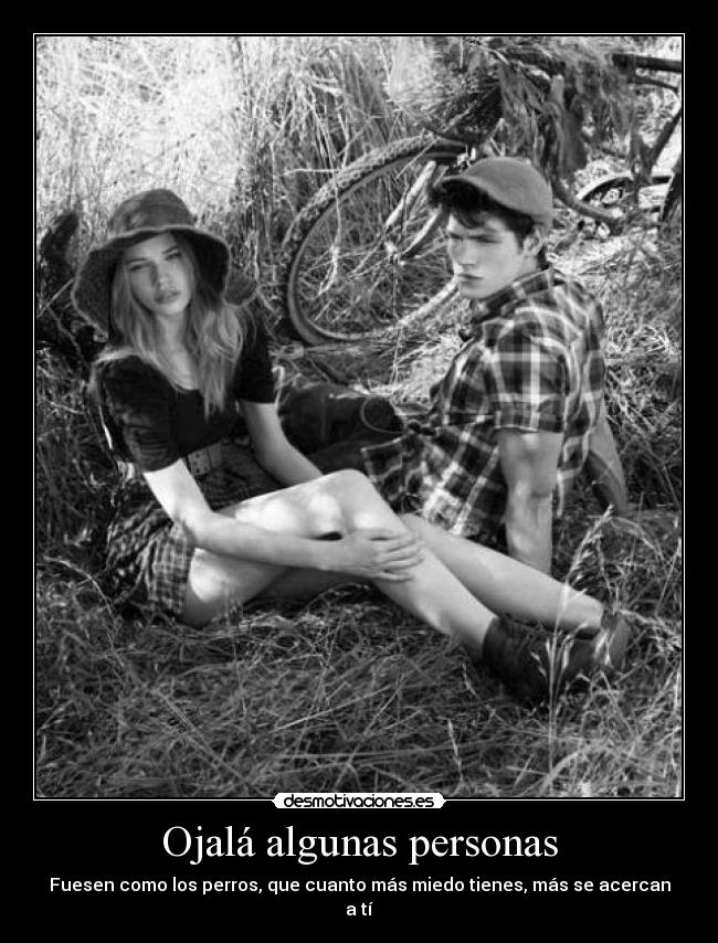 Ojalá algunas personas - Fuesen como los perros, que cuanto más miedo tienes, más se acercan a tí