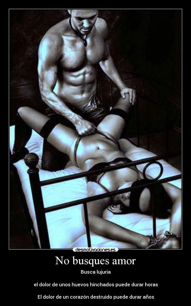 No busques amor - 