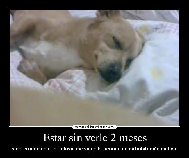 Estar sin verle 2 meses - 