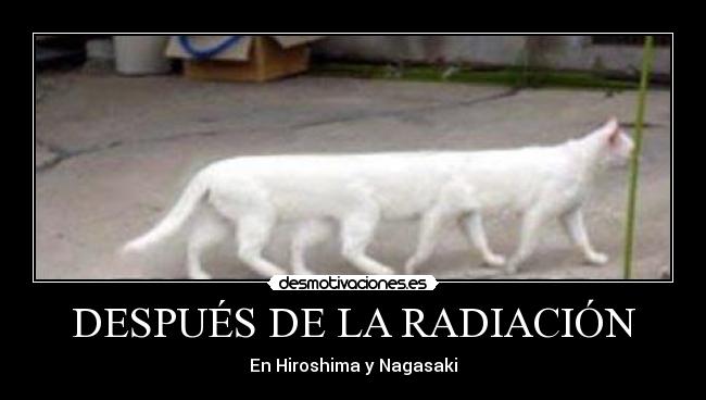 DESPUÉS DE LA RADIACIÓN - En Hiroshima y Nagasaki