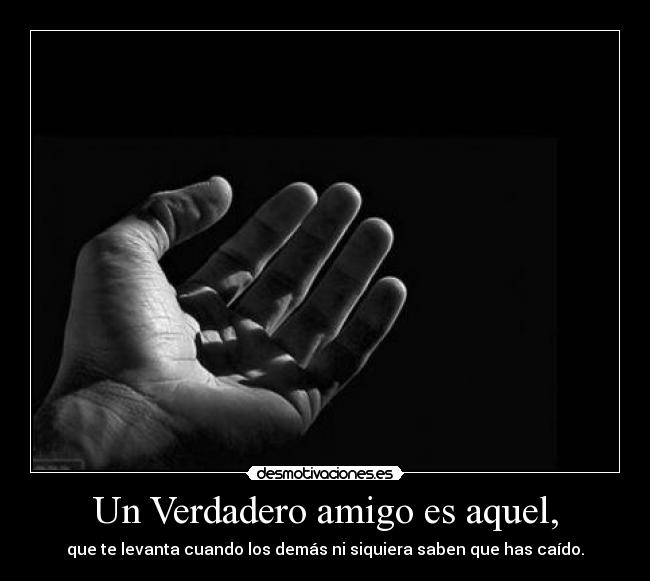 carteles sofia saud jesus rodriguez valerya avilez desmotivaciones