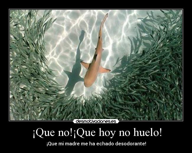 carteles eften reiros plis encontrar punto negro desmotivaciones