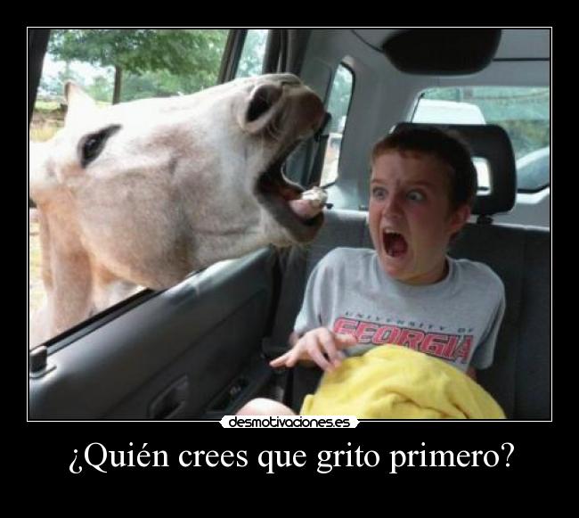 carteles eften aceptan apuestas desmotivaciones