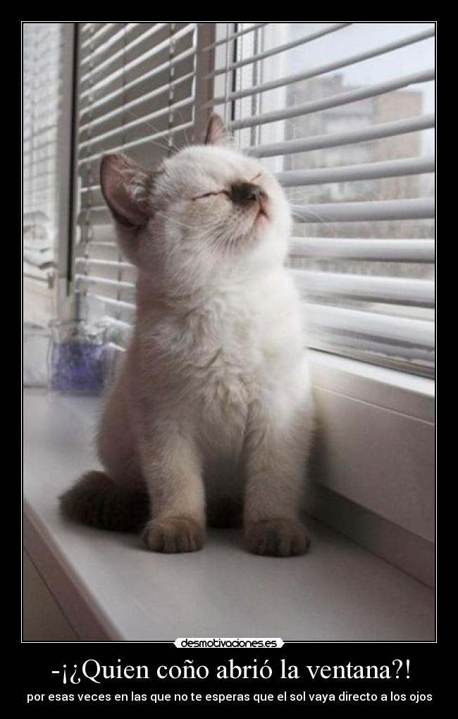-¡¿Quien coño abrió la ventana?! - por esas veces en las que no te esperas que el sol vaya directo a los ojos